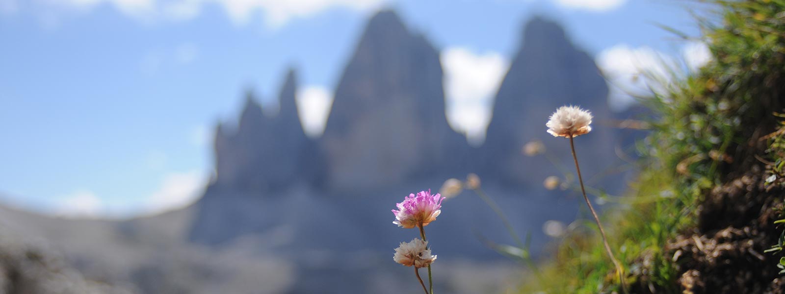 Die Drei Zinnen in den Sextner Dolomiten