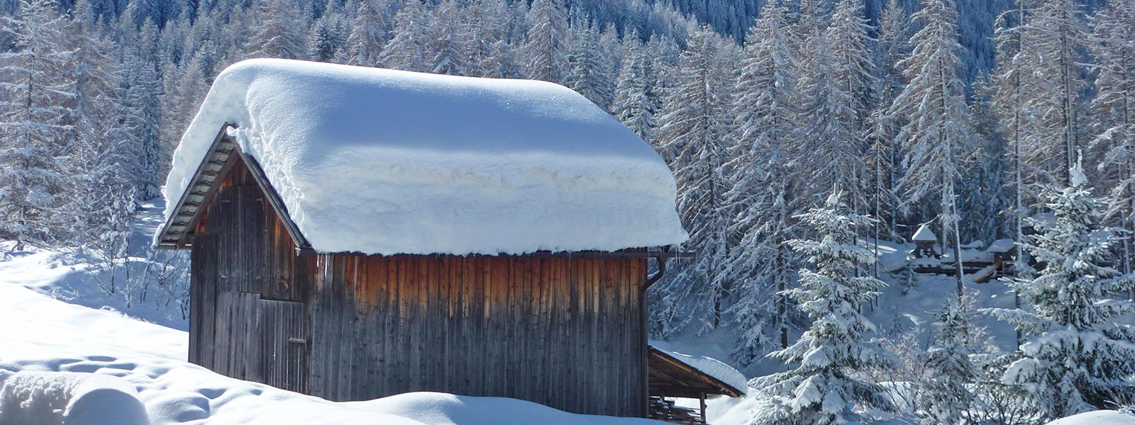 Escursioni invernali ed escursioni con le ciaspole 