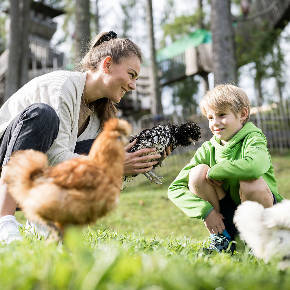 Tiere füttern im Streichelzoo