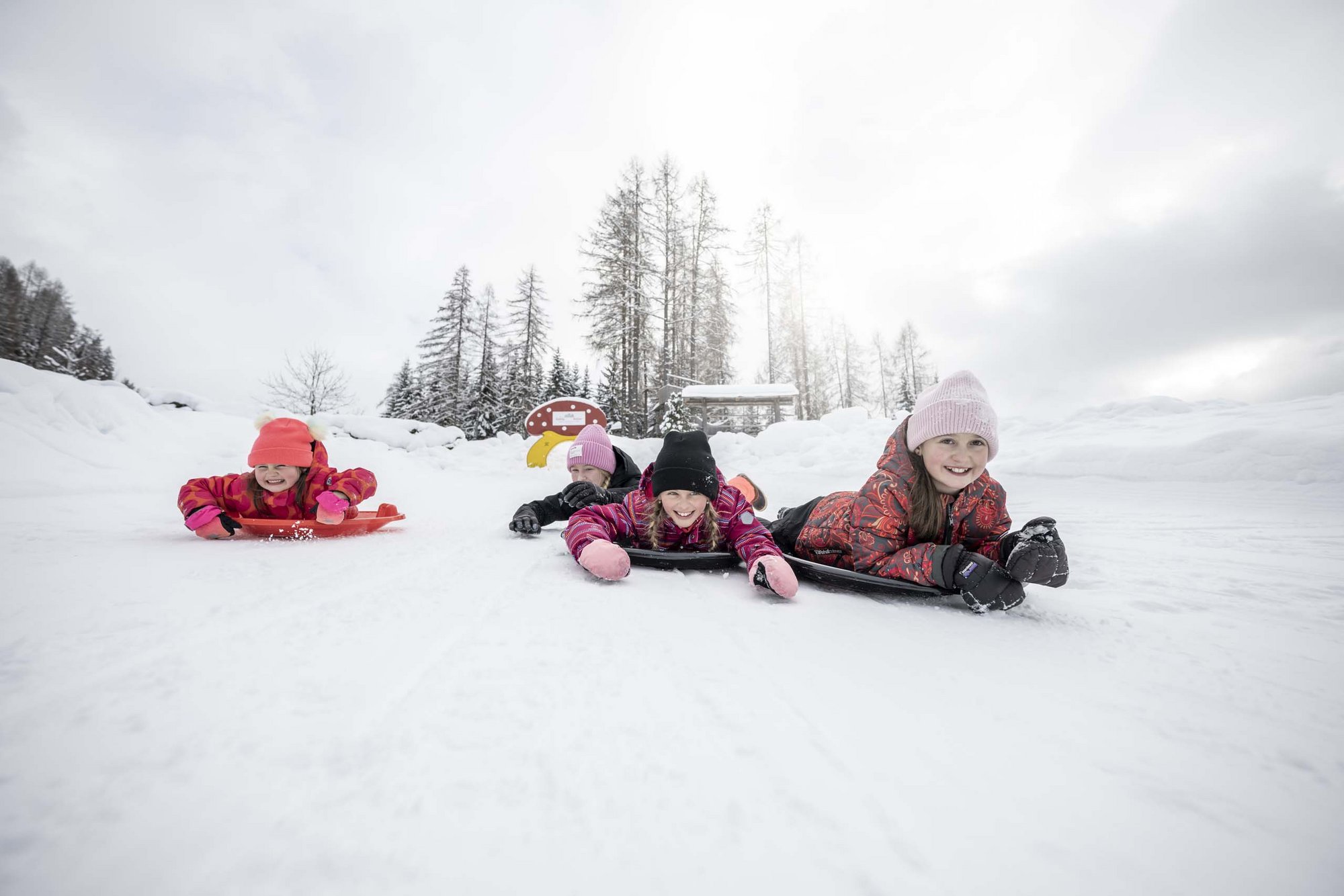 Ihr Familienresort in Südtirol Vier Kinder rodeln lachend im Schnee auf Schlitten mit Winterbekleidung