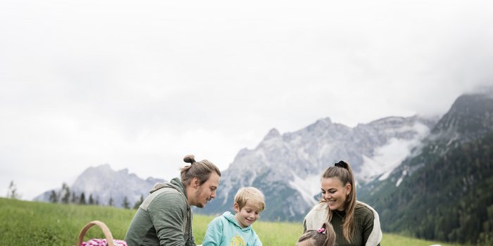 Family having a picnic on green grass with mountains in the background