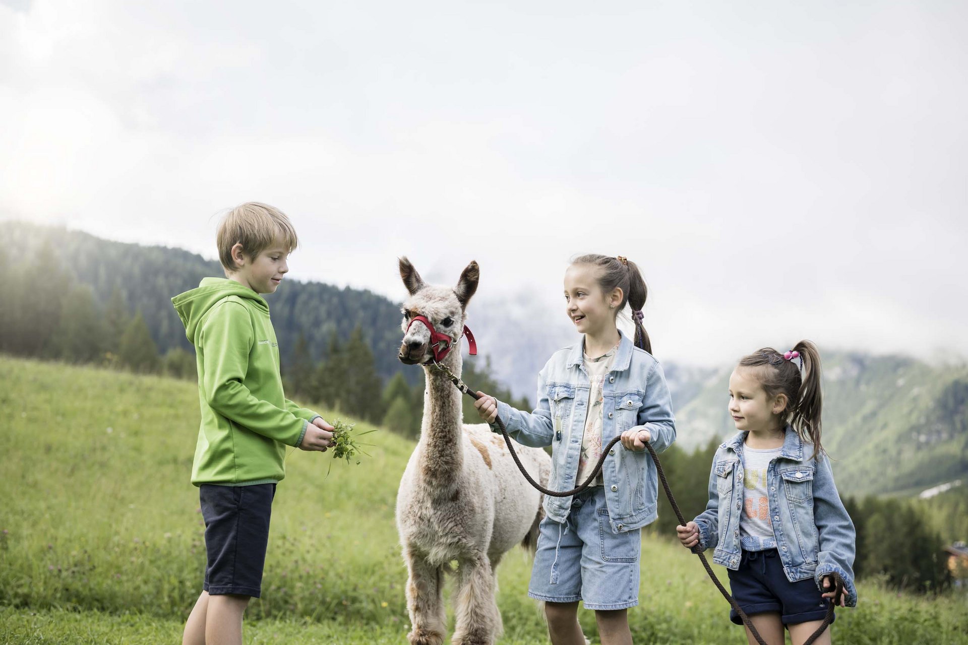 Il vostro family resort in Alto Adige Tre bambini conducono un lama su un prato verde con montagne sullo sfondo.