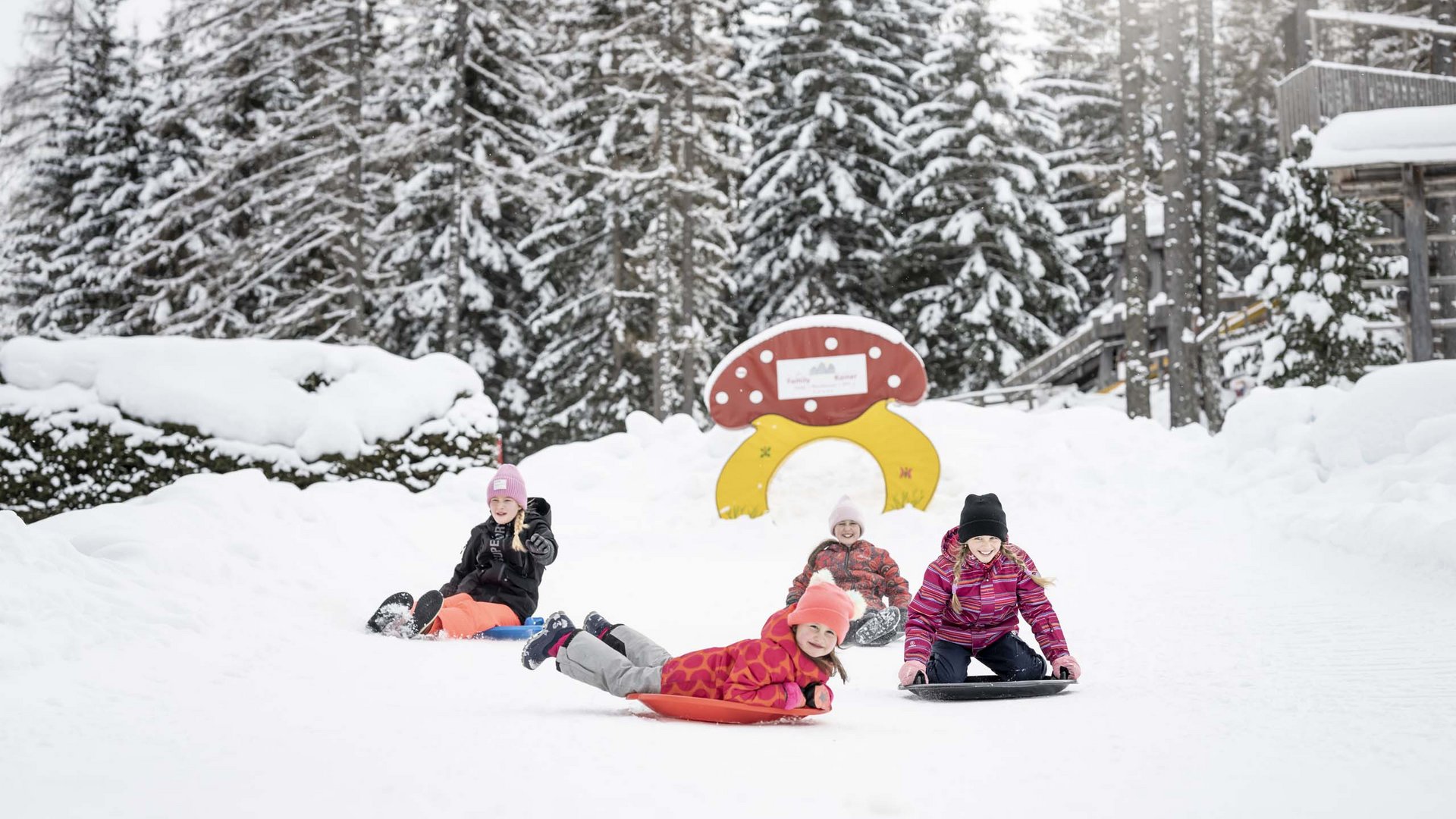 Qualche immagine del Rainer Bambini che slittano felici in una foresta innevata