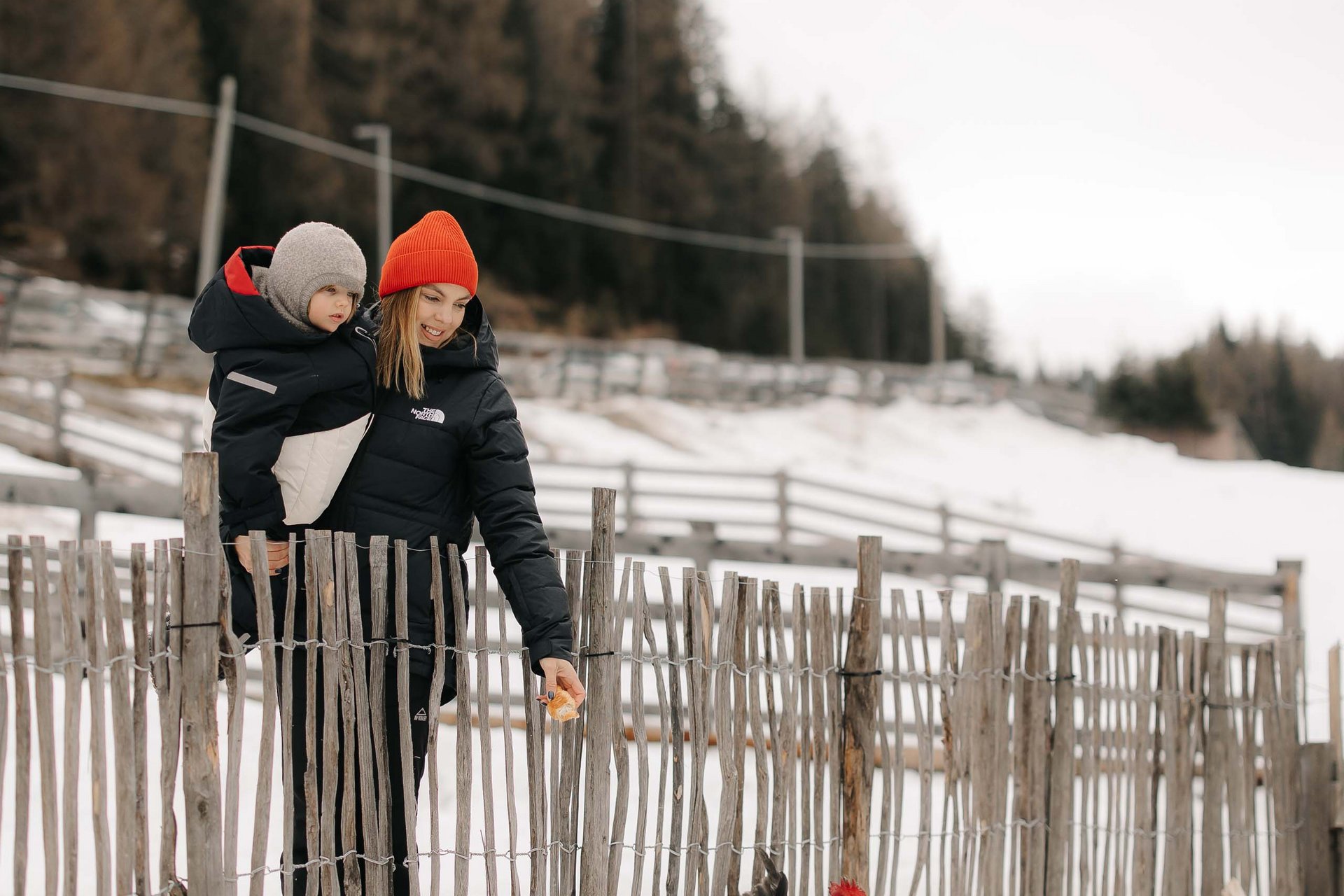 How to get to the Family Resort Rainer Woman and child feeding chickens in the snow behind a wooden fence
