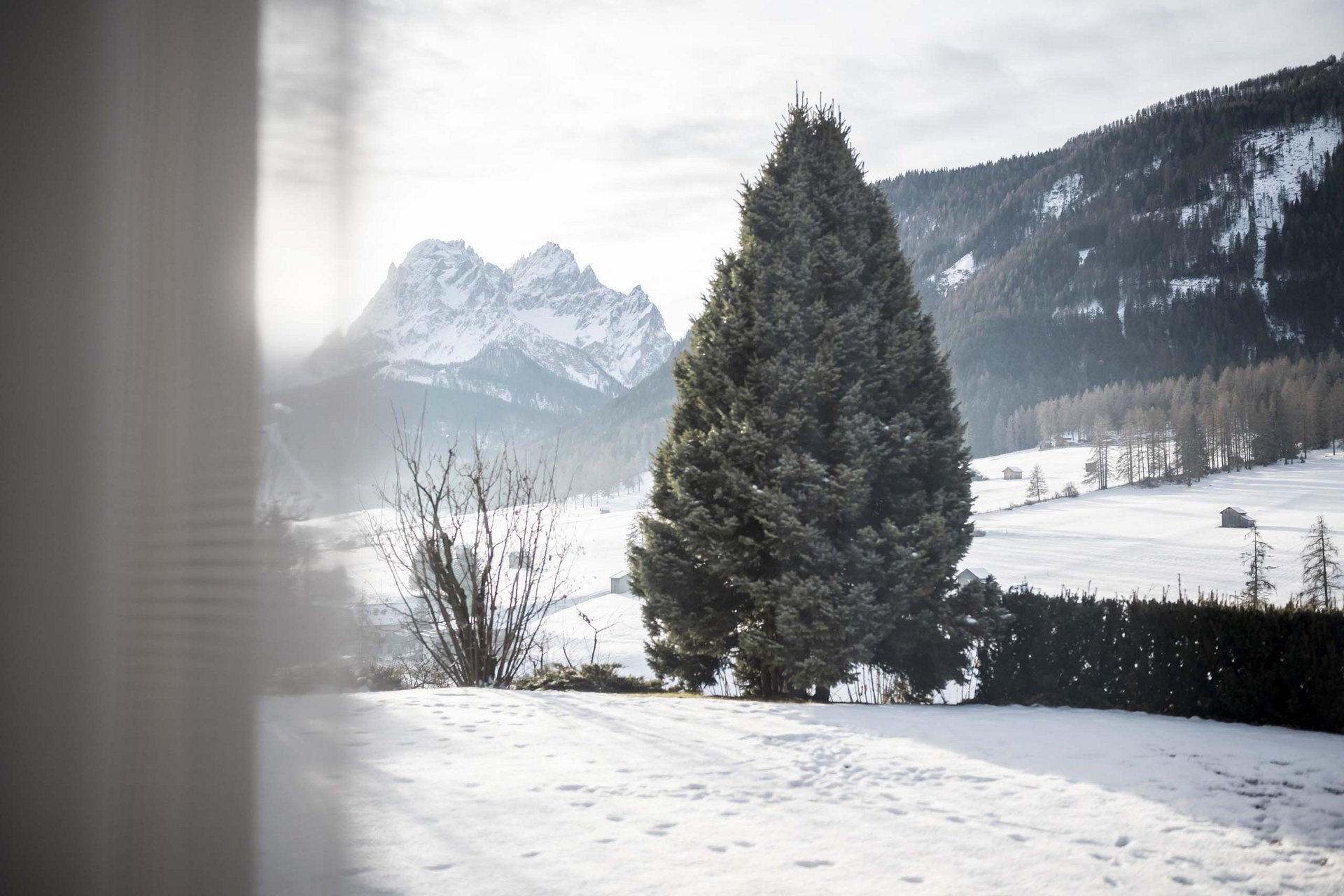 Vivere la natura a Villa Rainer Vivere la natura a Villa Rainer