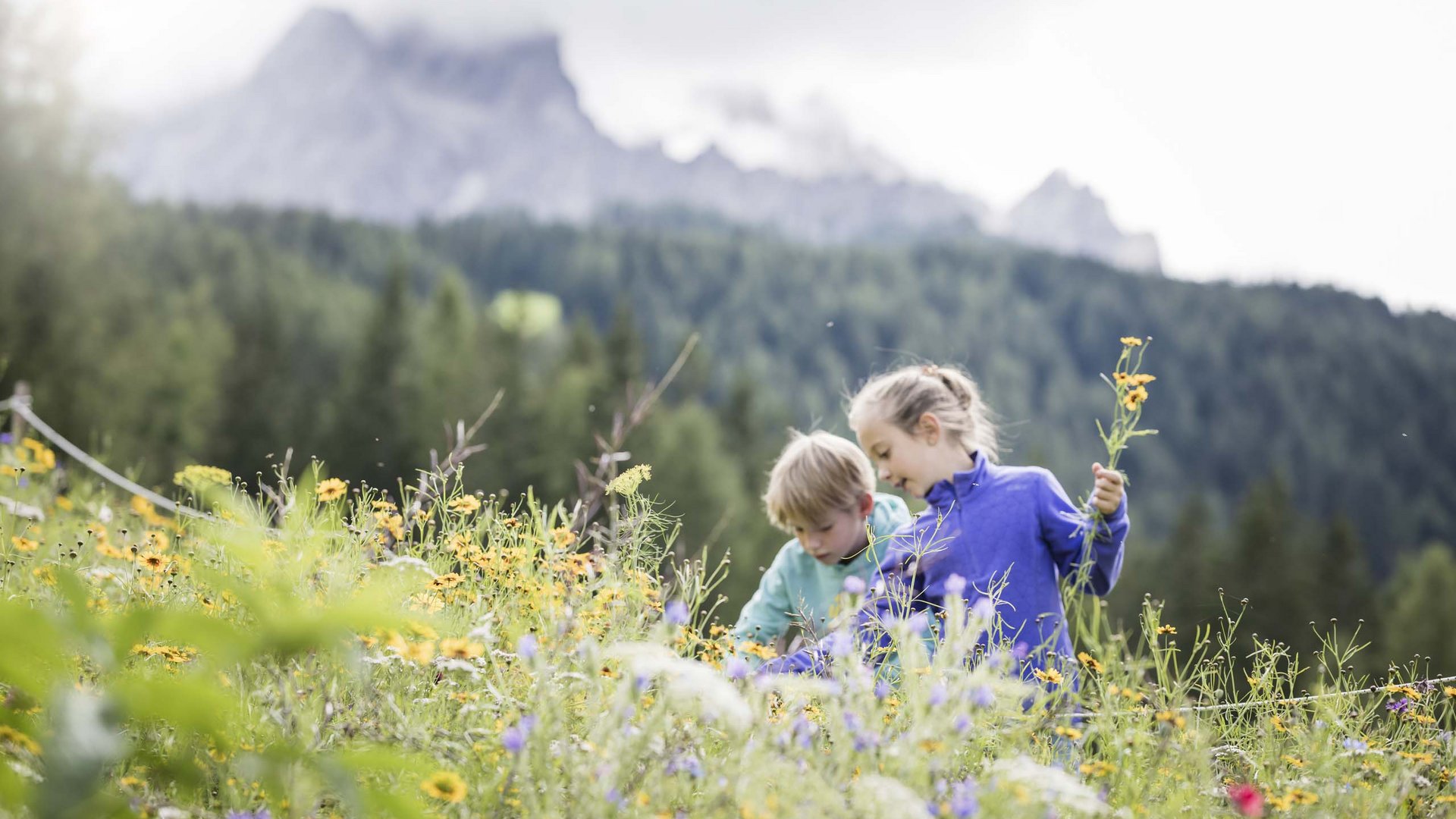 Qualche immagine del Rainer Due bambini raccolgono fiori in un prato di montagna fiorito