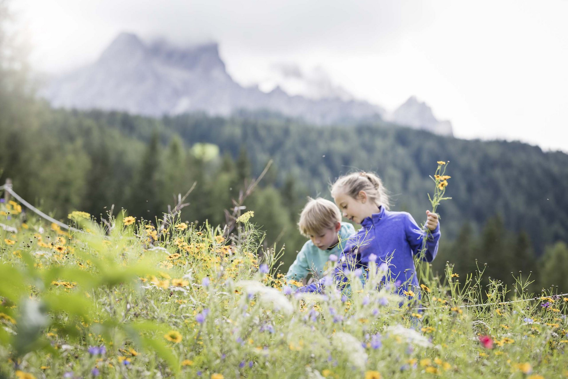 Due bambini raccolgono fiori in un prato di montagna fiorito