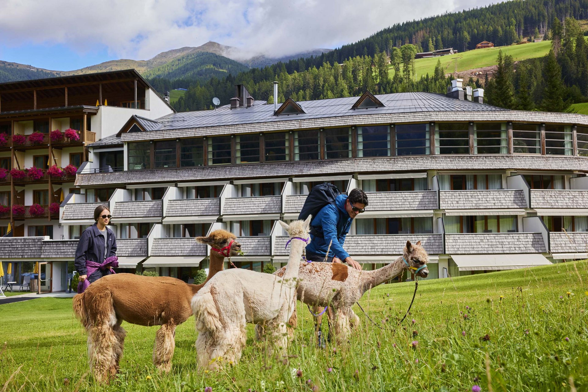 Ihr Familienresort in Südtirol Personen mit drei Alpakas vor einem Hotel in einer Berglandschaft
