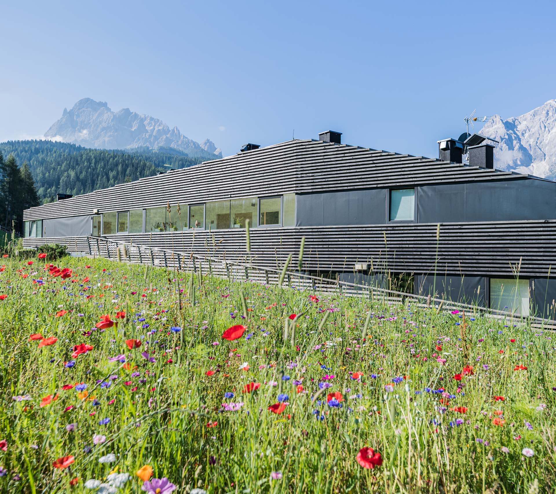 Scheda struttura - Residence Königswarte Strata Casa moderna con prato fiorito e montagne sullo sfondo sotto cielo azzurro