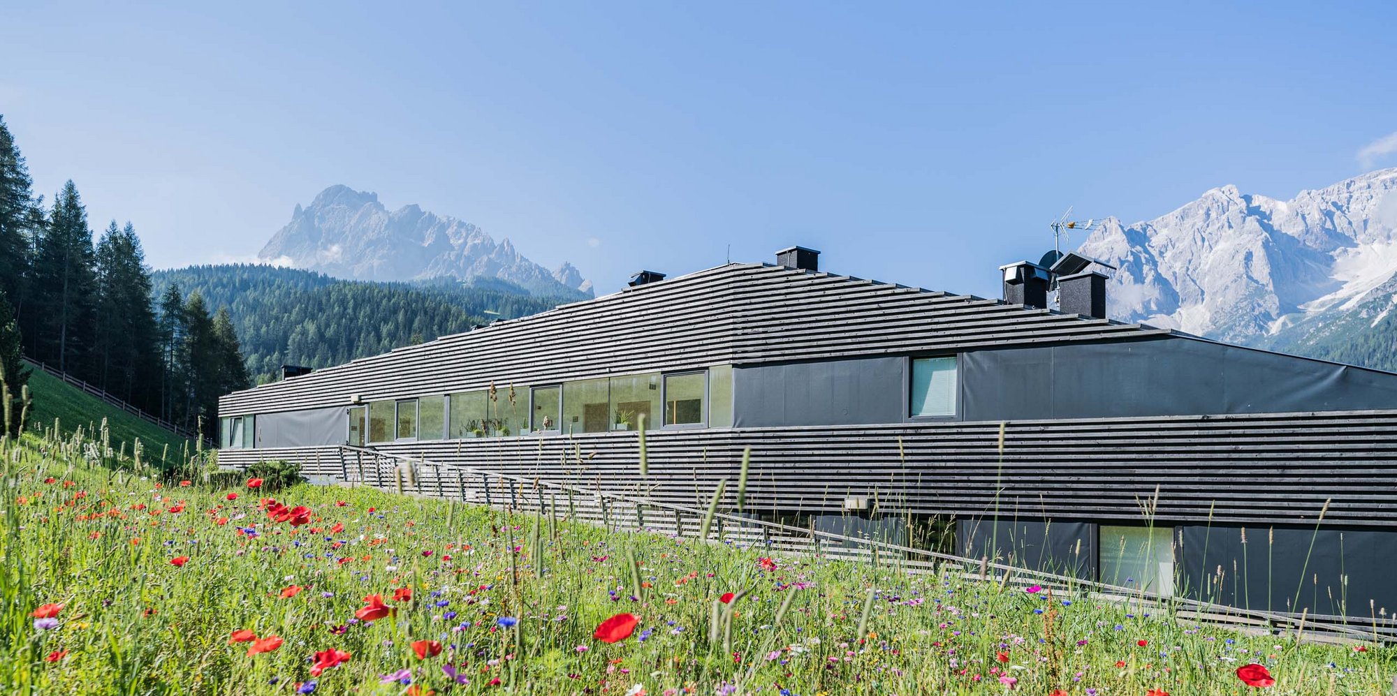 The Residence Königswarte Strata Modern house with flower meadow and mountains in background under blue sky