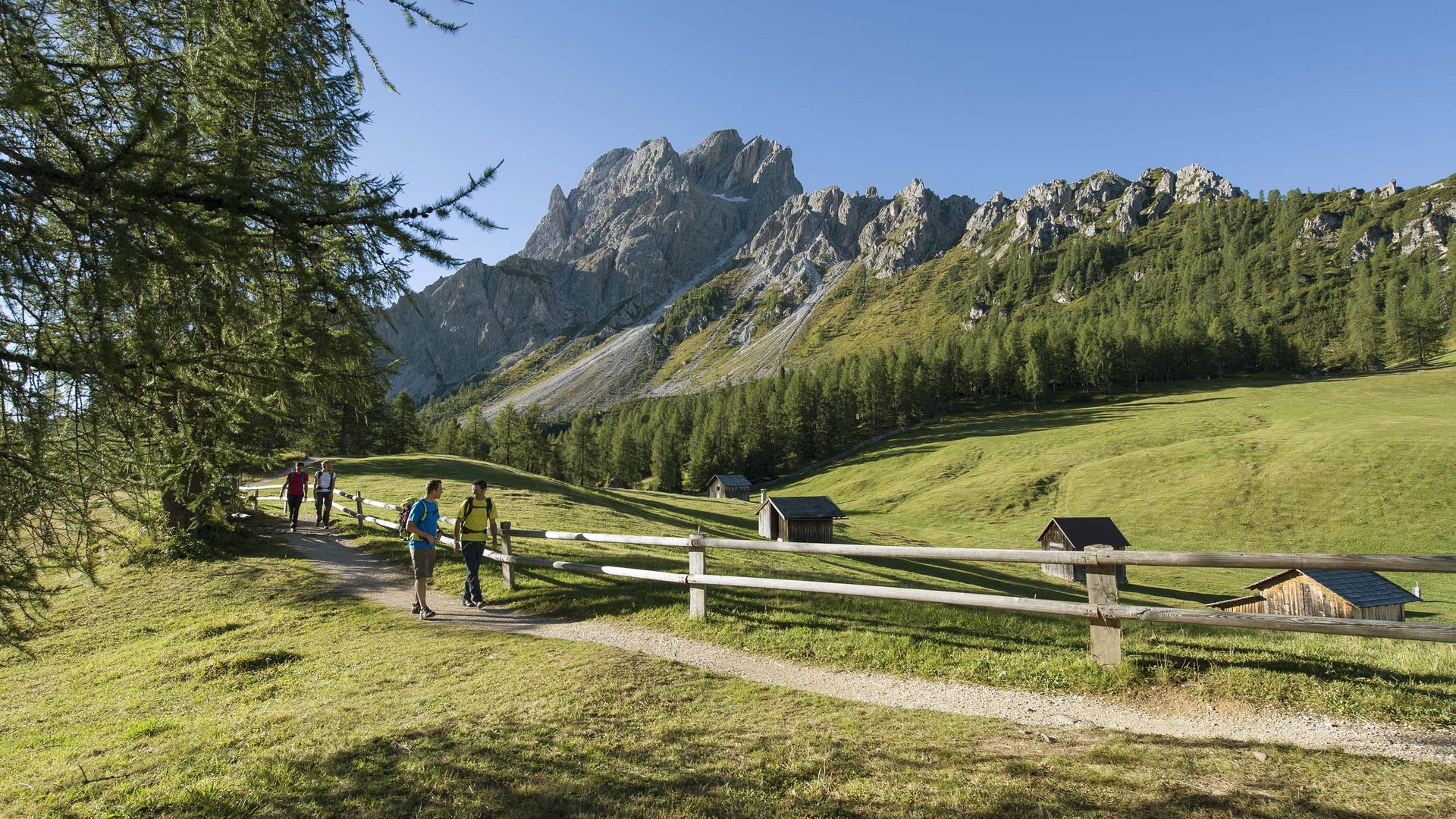 Qualche immagine del Rainer Escursionisti su sentiero montano con prati verdi e baite in legno