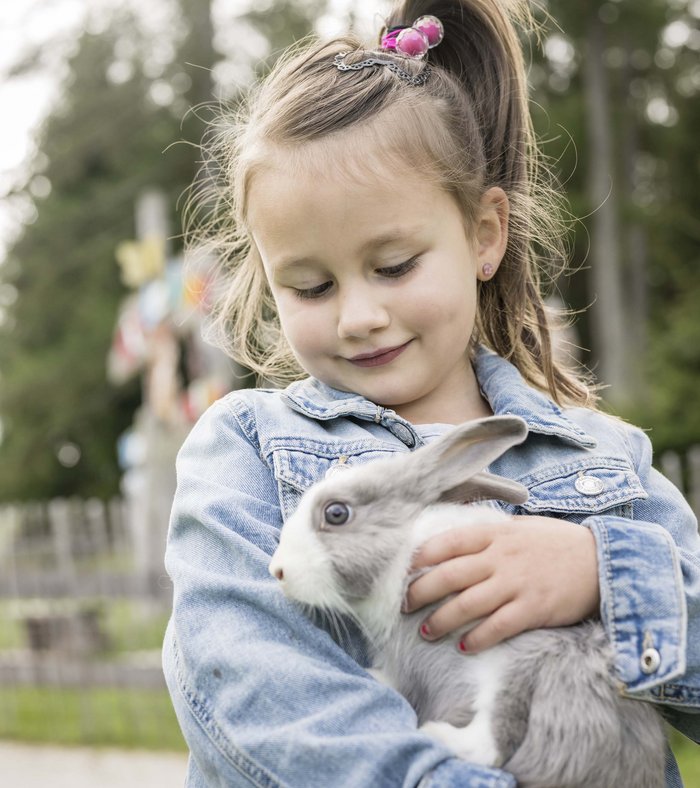 Our family experiences Girl holding a gray rabbit outdoors