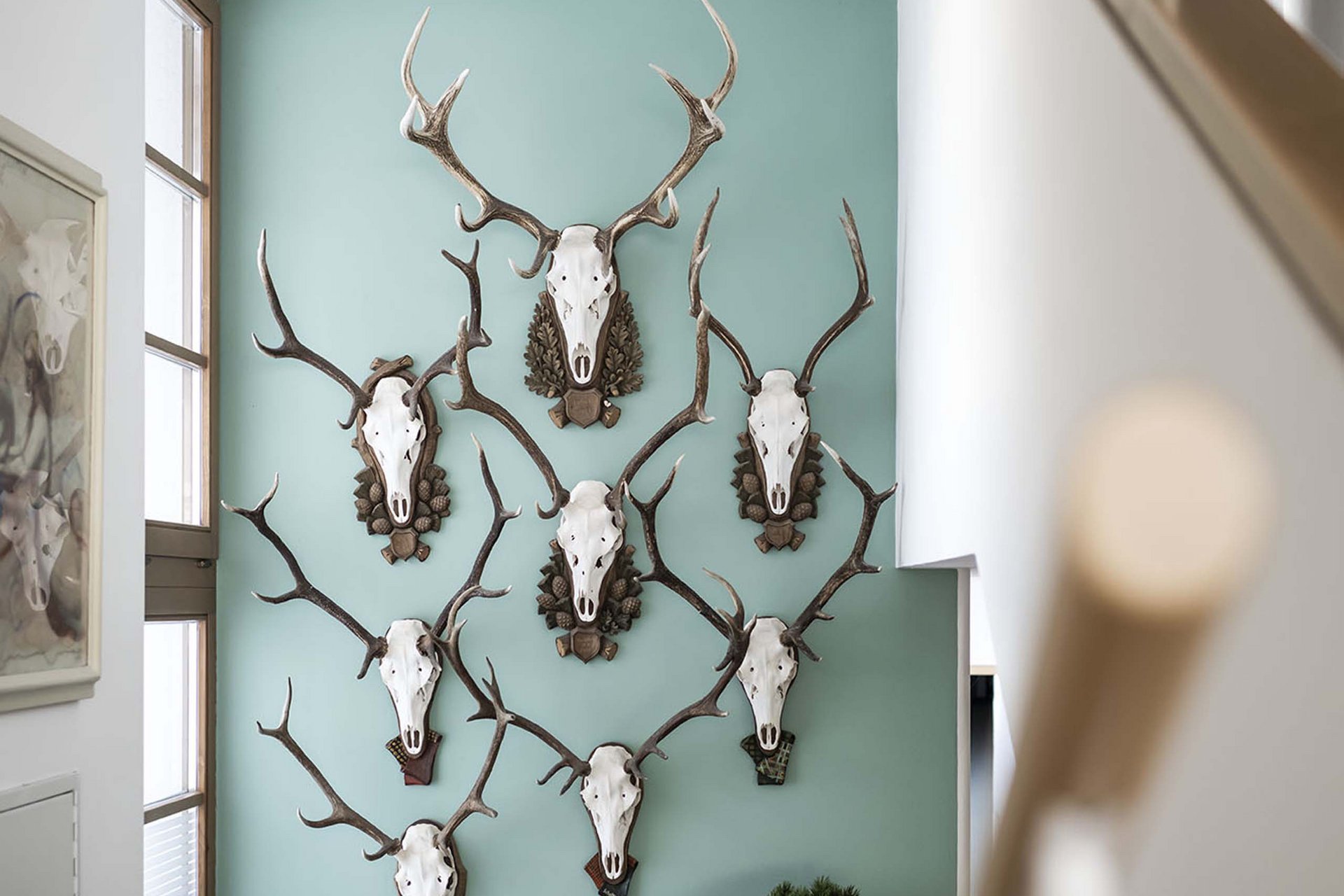 The Residence Königswarte Strata Hunting trophies with antlers on a blue wall above a dresser