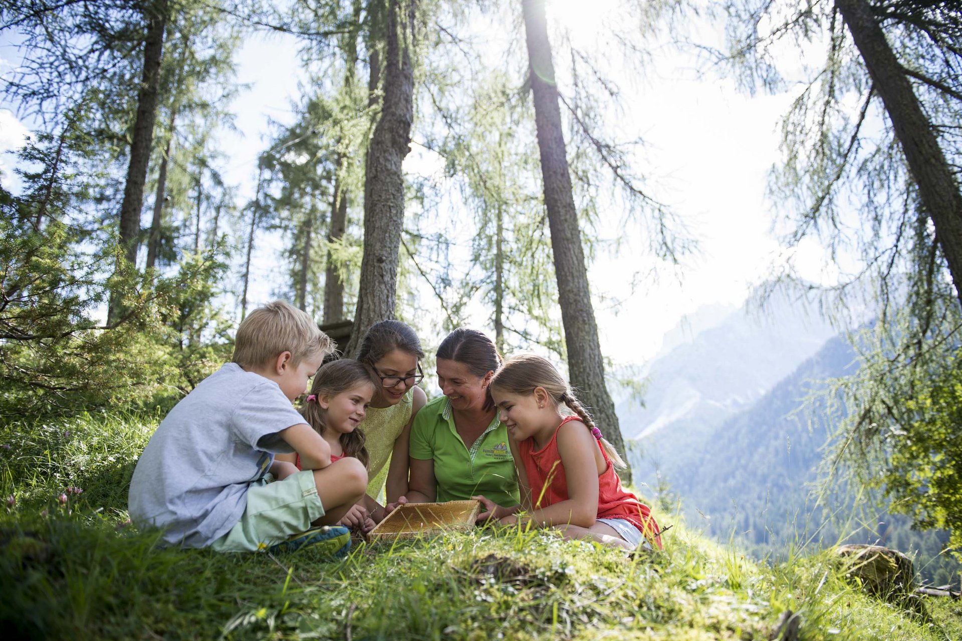 Bambini e donna che studiano insieme in una foresta con vista sulle montagne