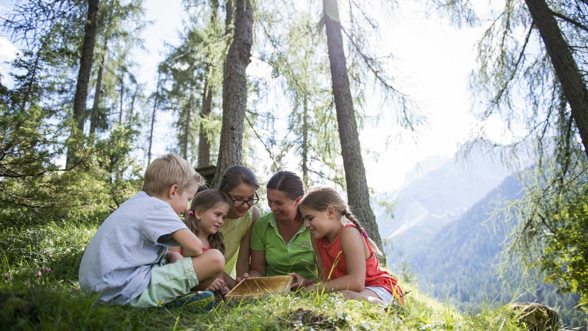Qualche immagine del Rainer Bambini e donna che studiano insieme in una foresta con vista sulle montagne