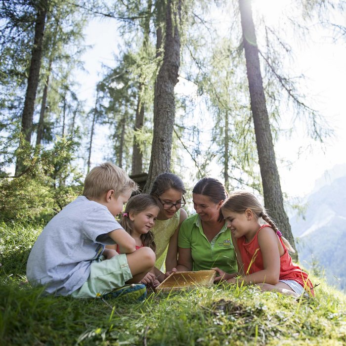 Children and woman learning together in a forest with mountain view