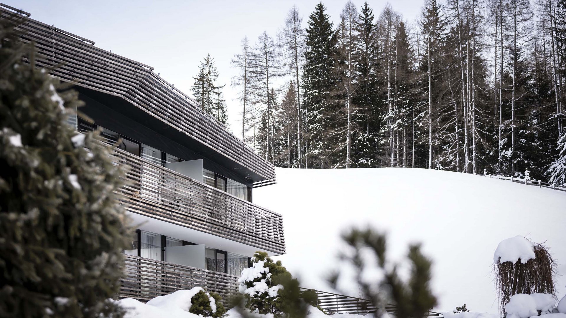Residence Königswarte Strata Casa moderna accanto a collina innevata e abeti in inverno