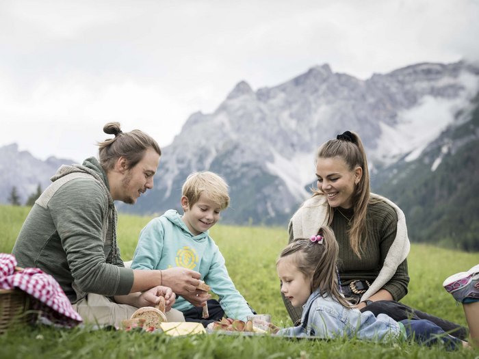 Get to know us! Family having a picnic on grass with mountains in the background