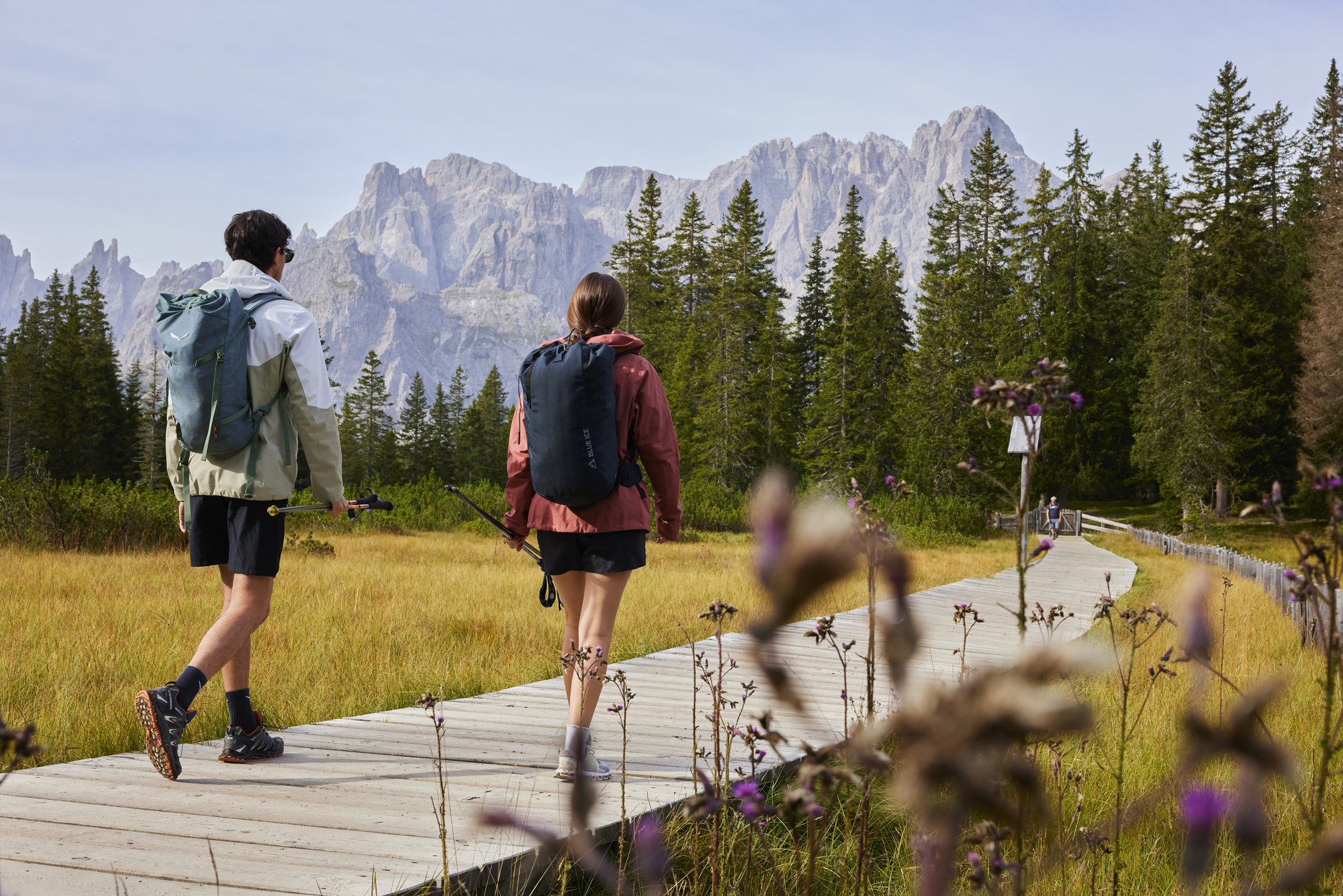 Passo Monte Croce - Malga Nemes Due escursionisti con zaini su passerella di legno davanti a montagne e pini