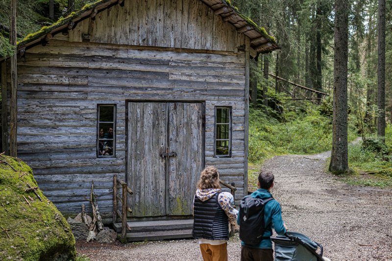 Innerfeldtal - Dreischusterhütte Zur Waldkapelle in Sexten: St.Veit - Waldkapelle - Jausenstation Waldruhe