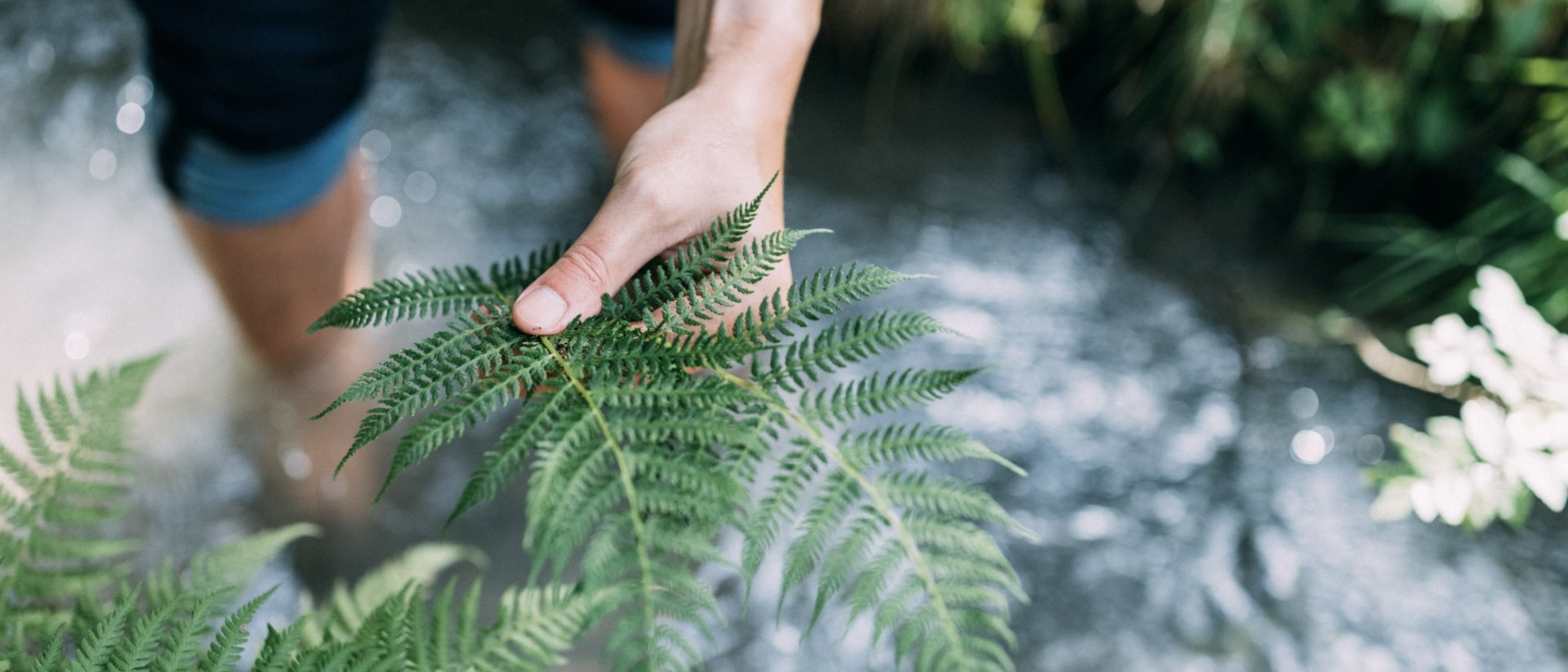 Benessere dalla testa ai piedi Mano che tiene una foglia di felce sopra un ruscello con gambe sfocate nell'acqua