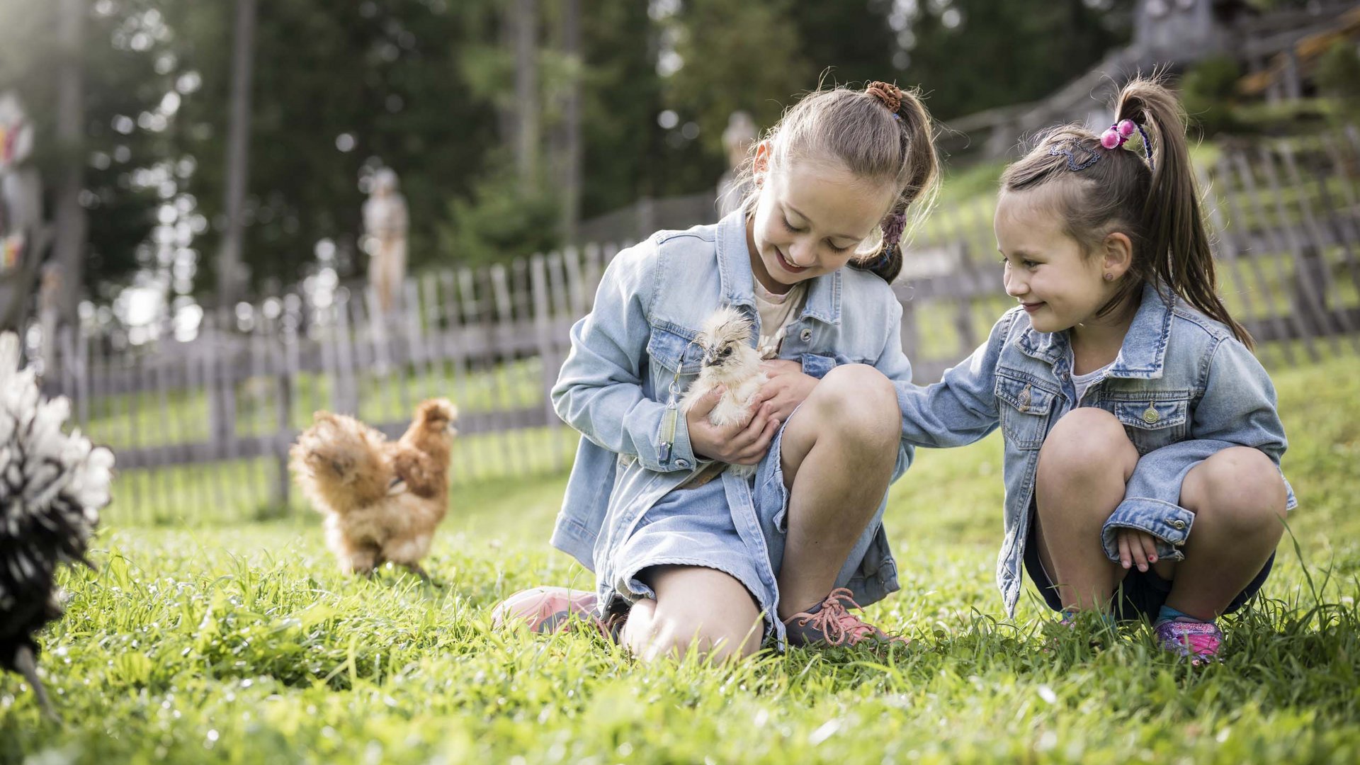 Qualche immagine del Rainer Due ragazze all'aperto tengono e accarezzano un pulcino sull'erba