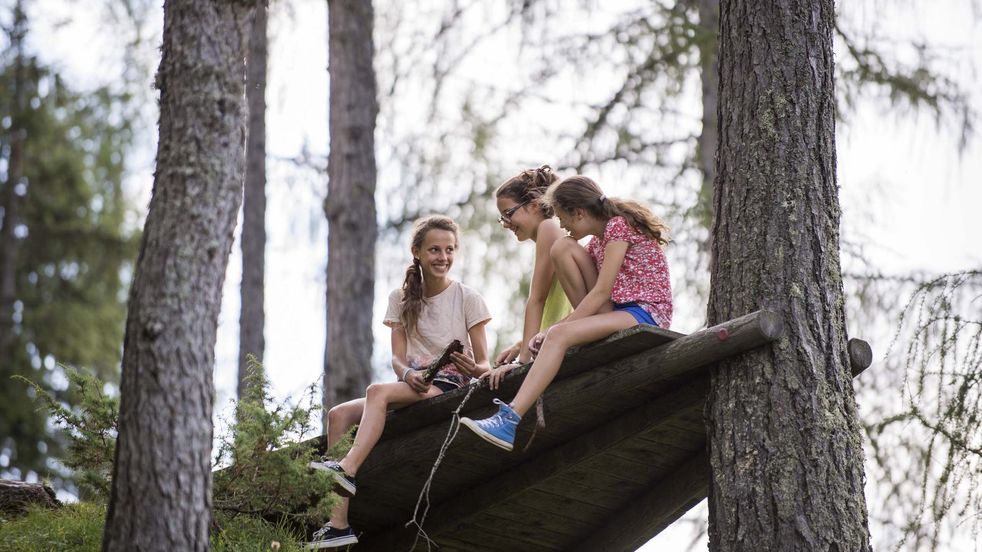 Qualche immagine del Rainer Tre ragazze sedute su una struttura di legno nella foresta che ridono