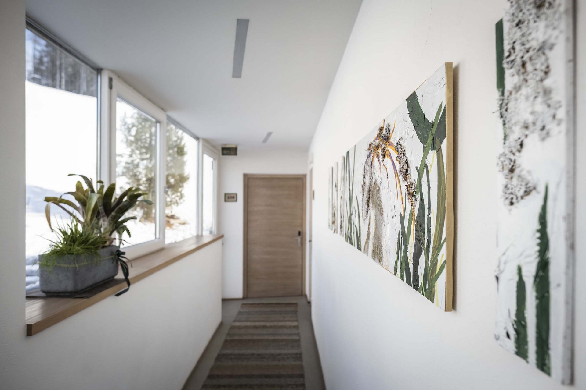 The Residence Königswarte Strata Hallway with paintings on wall and plants on the windowsill