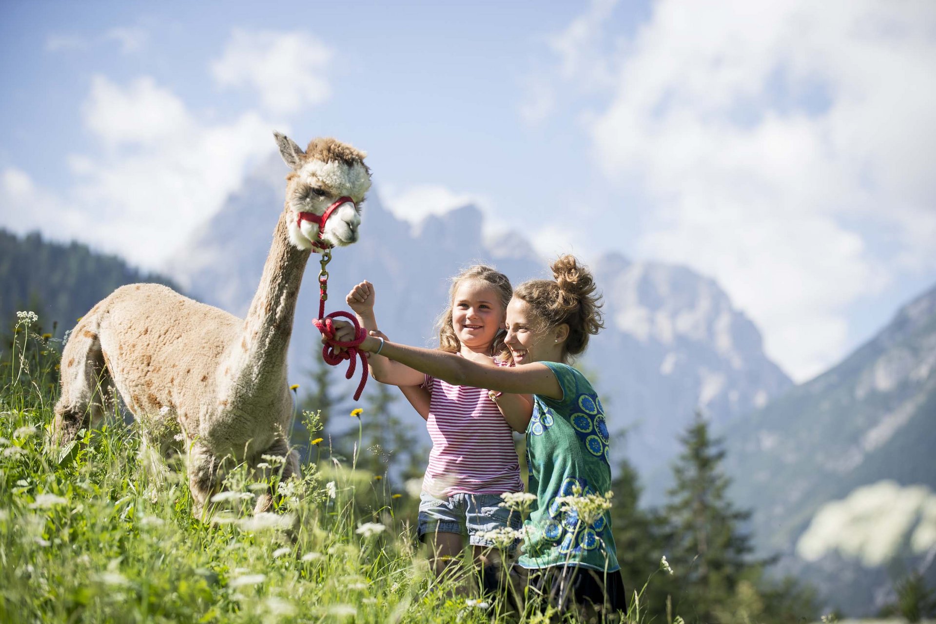 Ihr Familienresort in Südtirol Zwei Mädchen mit Lama auf einer Wiese vor Bergkulisse